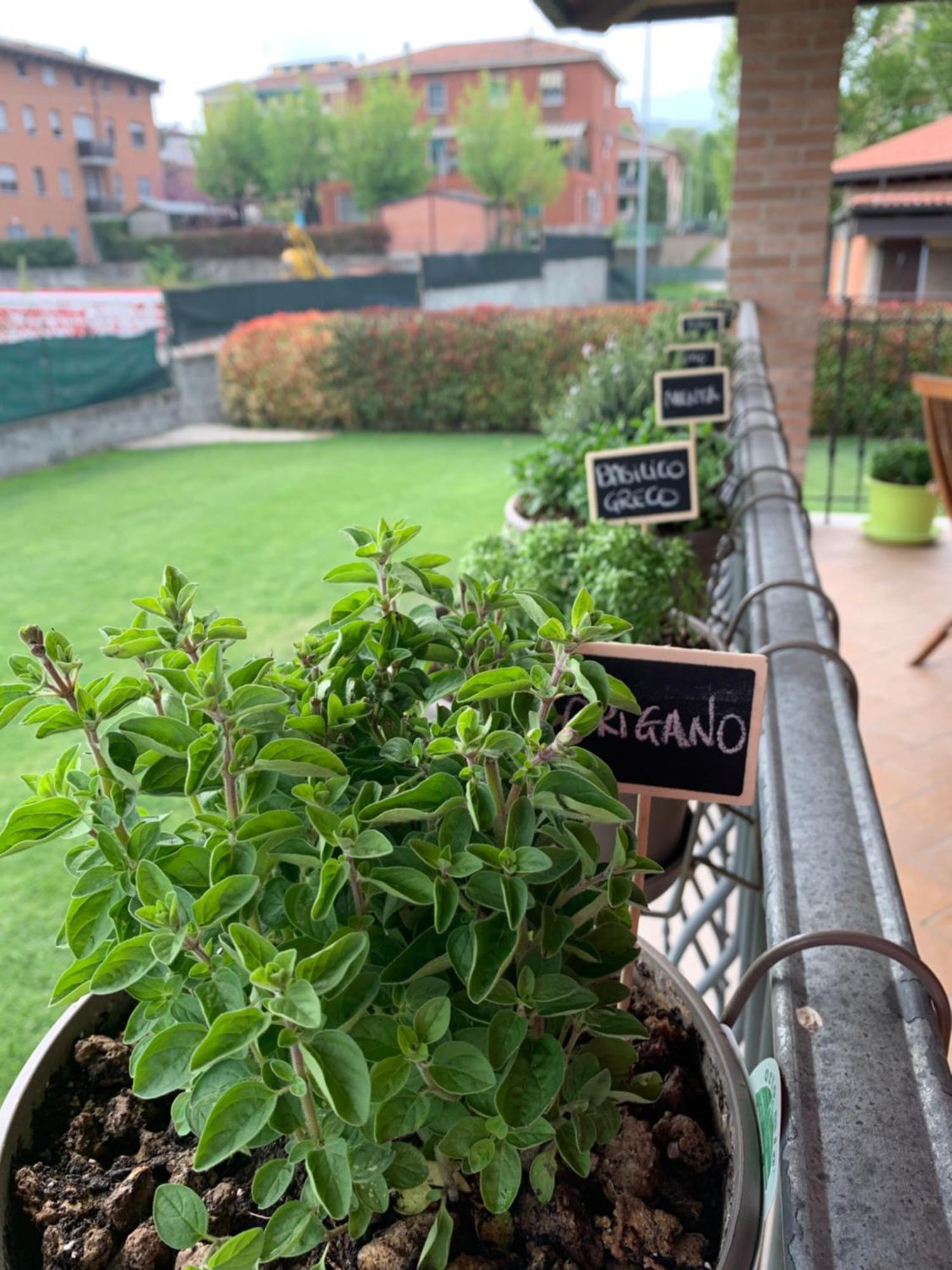 Appartamento Con Giardino Pontecchio Marconi Экстерьер фото